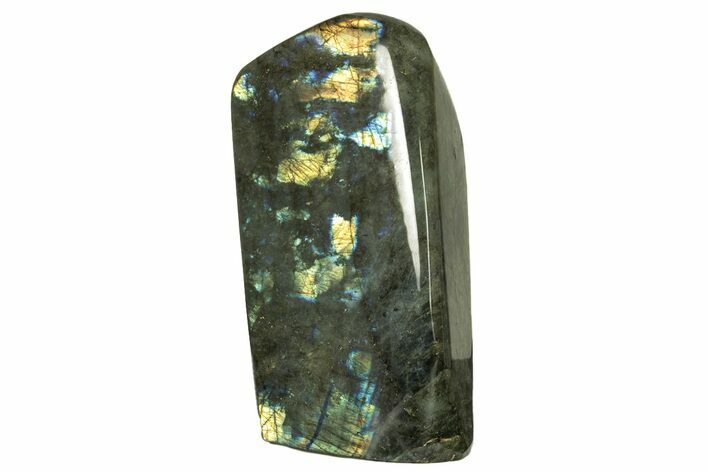 Flashy, Free-Standing Polished Labradorite - Madagascar #274666